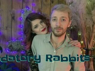 Predatory_Rabbits