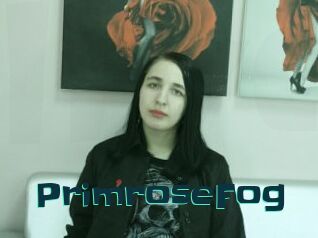 PrimroseFog