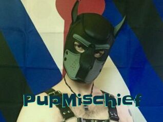 PupMischief