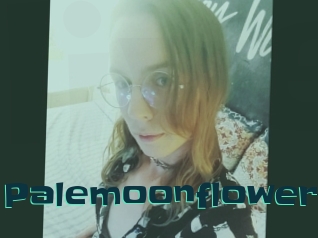Palemoonflower