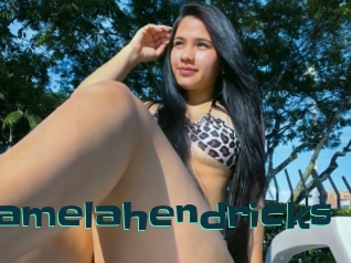 Pamelahendricks