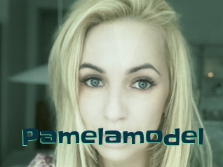 Pamelamodel