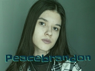 Peacebrandon