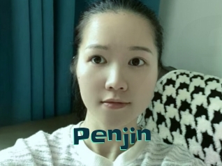 Penjin