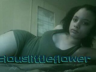 Perciouslittleflower