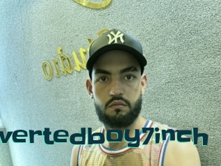 Pervertedboy7inch