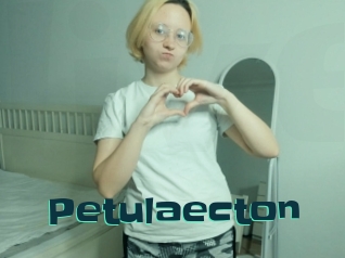 Petulaecton
