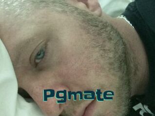 Pgmate