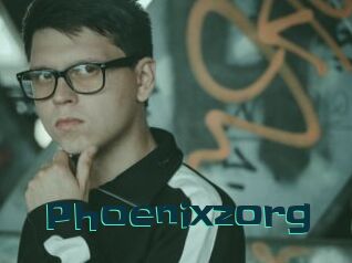 Phoenixzorg
