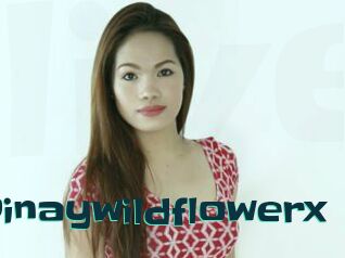 Pinaywildflowerx