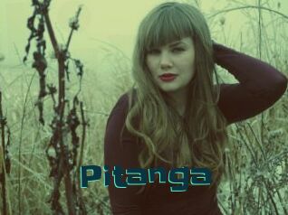 Pitanga