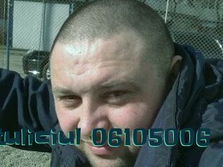 Pituliciul-06105006