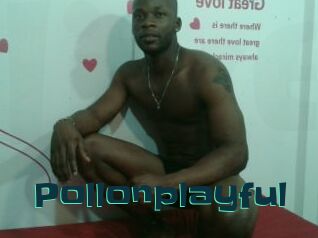 Pollonplayful