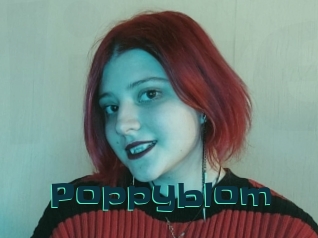 Poppyblom