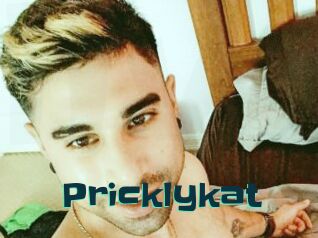Pricklykat