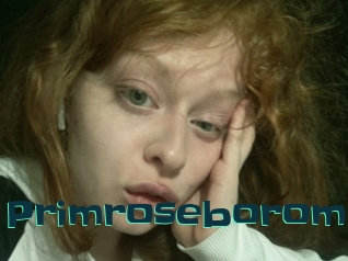 Primroseborom
