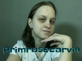Primrosecarvin