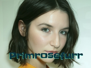 Primrosefurr