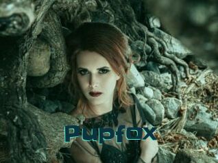 Pupfox