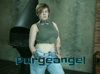 Purgeangel