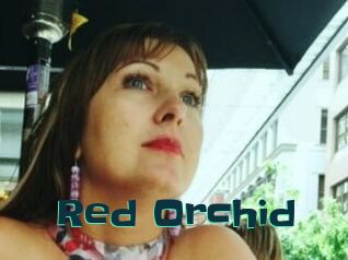 Red_Orchid
