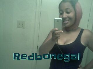 Redbonegal