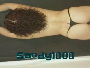 Sandy1000
