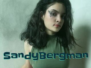 SandyBergman