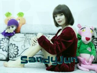 SandyJun