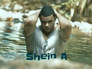 Shein_A