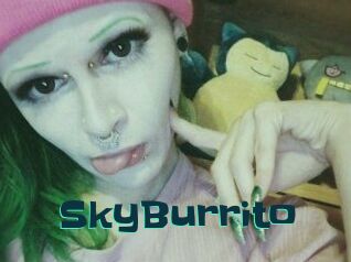 SkyBurrito