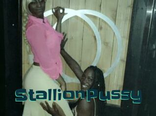 StallionPussy