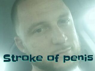 Stroke_of_penis
