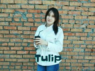 Tulip
