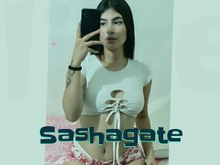 Sashagate