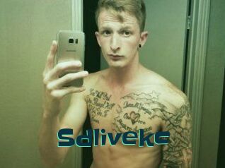 Sdlivekc