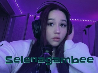 Selenagambee