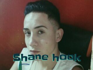 Shane_hook