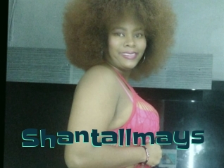 Shantallmays