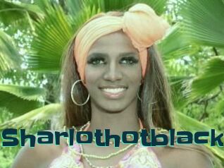Sharlothotblack