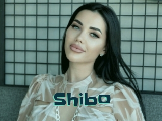 Shibo