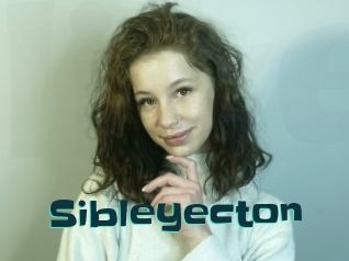Sibleyecton