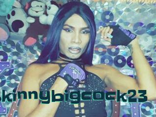 Skinnybigcock23