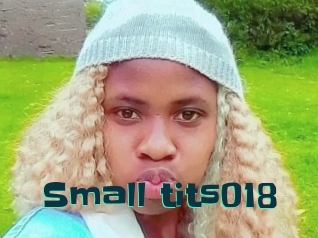 Small_tits018