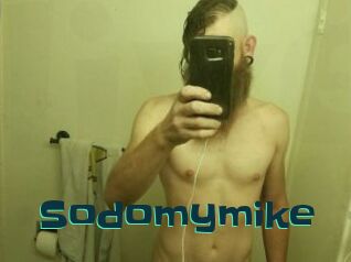 Sodomymike