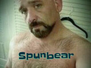 Spunbear