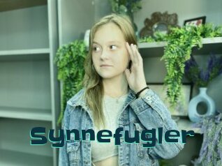 Synnefugler