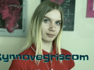 Synnovegriscom
