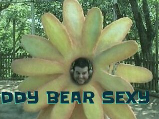 TEDDY_BEAR_SEXY