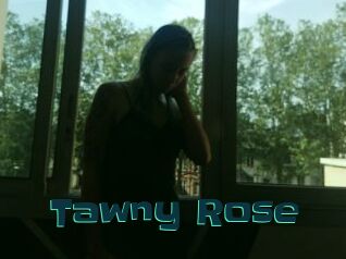 Tawny_Rose